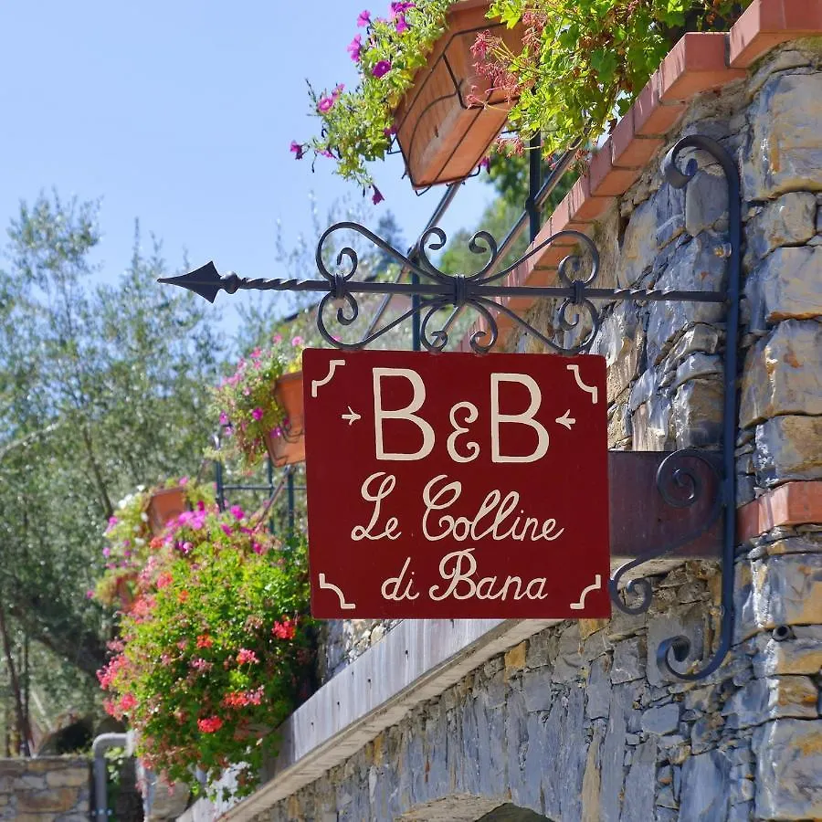Bed & Breakfast B&B Le Colline Di Bana Camogli
