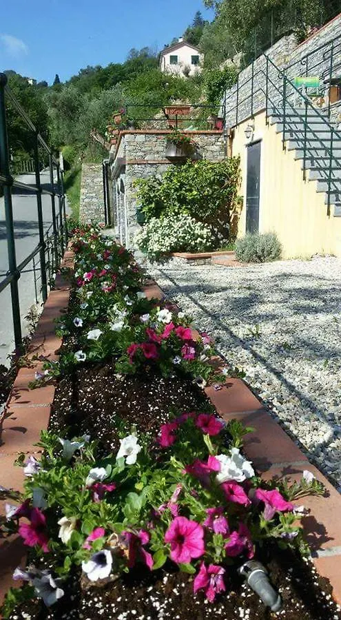 B&B Le Colline Di Bana Camogli Bed & Breakfast