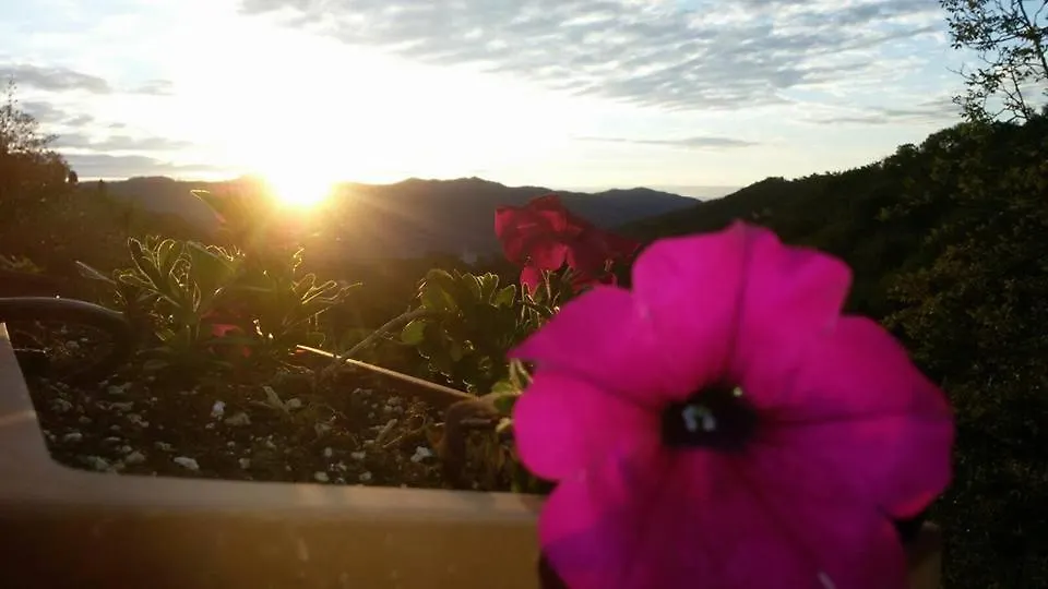 B&B Le Colline Di Bana Camogli Italy