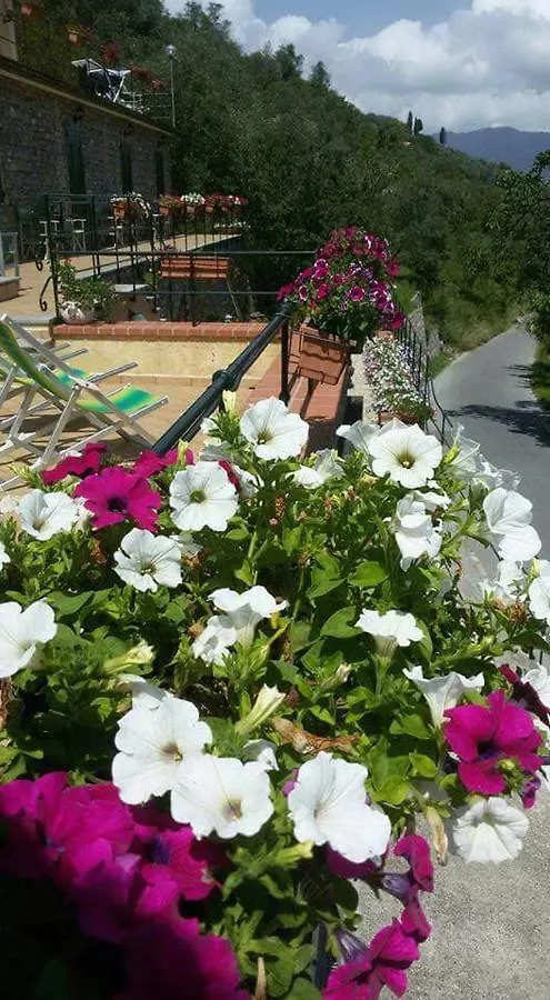 B&B Le Colline Di Bana Camogli